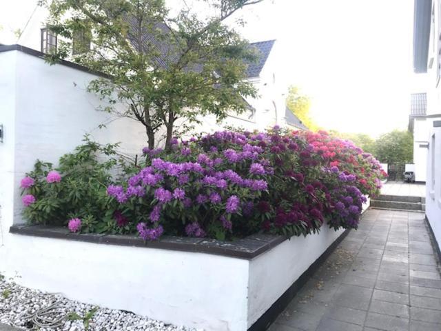 Dreamcenter Ballerup Boulevard ภายนอก รูปภาพ